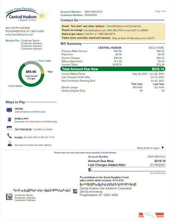USA NEW YORK CENTRAL HUDSON utility bill Word and PDF template